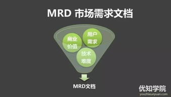 技術型產(chǎn)品人必備 產(chǎn)品開發(fā)流程與技術服務實戰(zhàn)指南